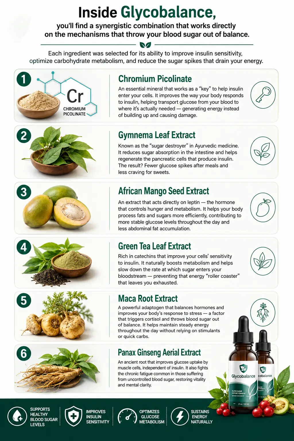 Brand infographic titled Inside Glycobalance describing chromium picolinate, gymnema leaf extract, African mango seed extract, green tea leaf extract, maca root extract and Panax ginseng aerial extract